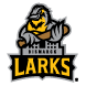 Bismarck Larks_logo